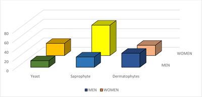 A Mycological and Molecular Epidemiologic Study on Onychomycosis and Determination In Vitro Susceptibilities of Isolated Fungal Strains to Conventional and New Antifungals